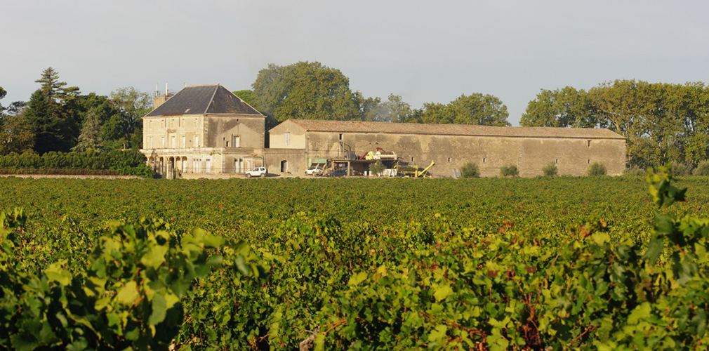 Domaine viticole de Mujolan